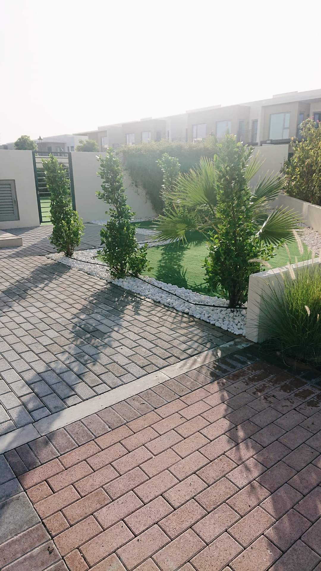 FB_IMG_1716776719453