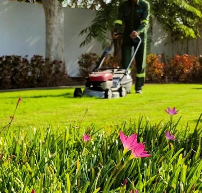 Garden-Maintenance-Services-Dubai
